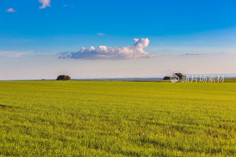 Dehesa de Extremadura的农田